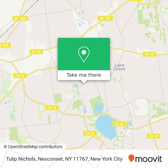 Mapa de Tulip Nichols, Nesconset, NY 11767