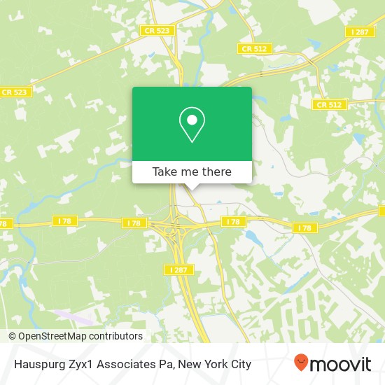 Mapa de Hauspurg Zyx1 Associates Pa, 318 US Highway 202 206