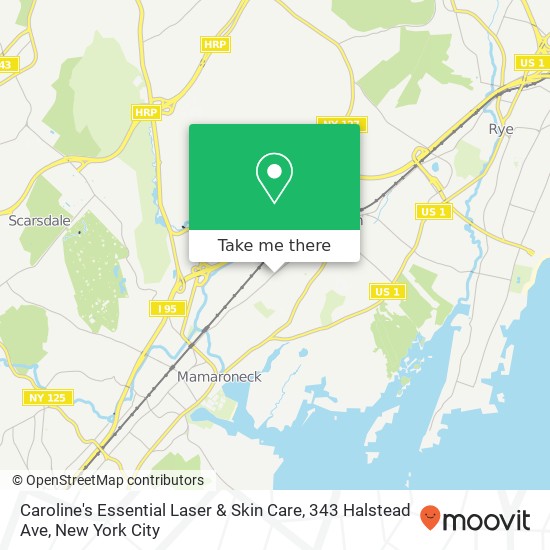 Mapa de Caroline's Essential Laser & Skin Care, 343 Halstead Ave