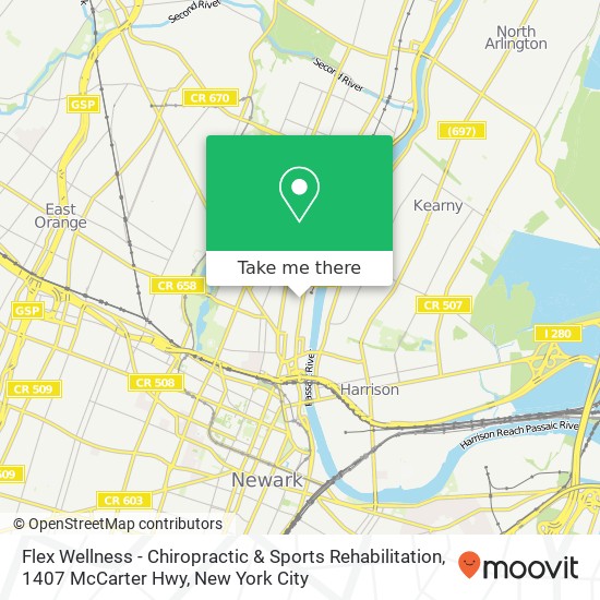 Mapa de Flex Wellness - Chiropractic & Sports Rehabilitation, 1407 McCarter Hwy