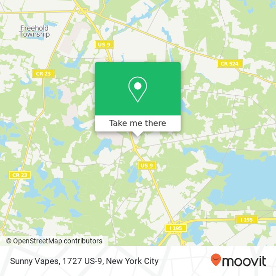 Mapa de Sunny Vapes, 1727 US-9