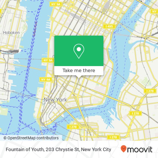 Fountain of Youth, 203 Chrystie St map