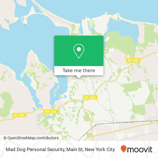Mapa de Mad Dog Personal Security, Main St