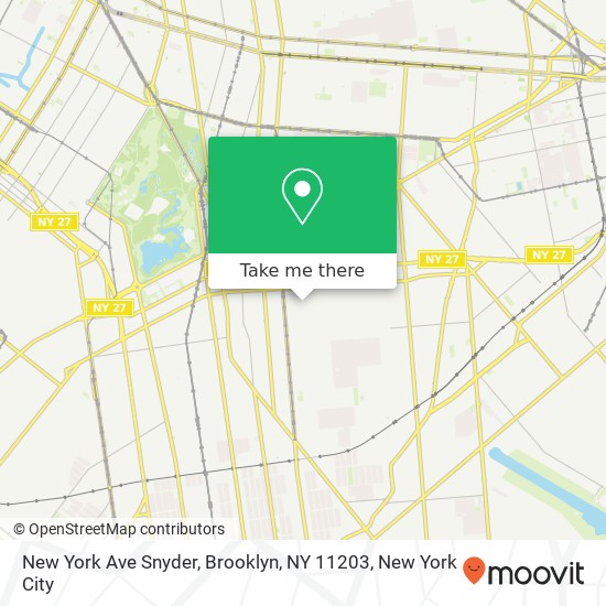New York Ave Snyder, Brooklyn, NY 11203 map