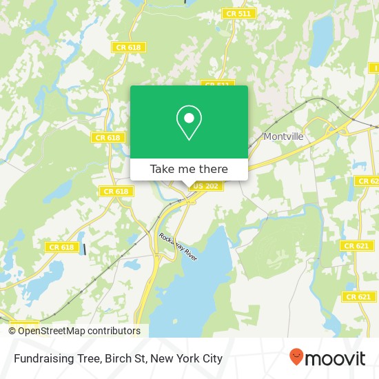 Mapa de Fundraising Tree, Birch St