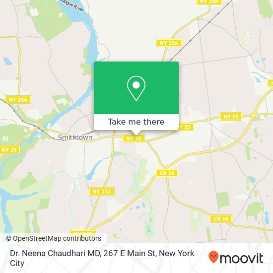 Mapa de Dr. Neena Chaudhari MD, 267 E Main St