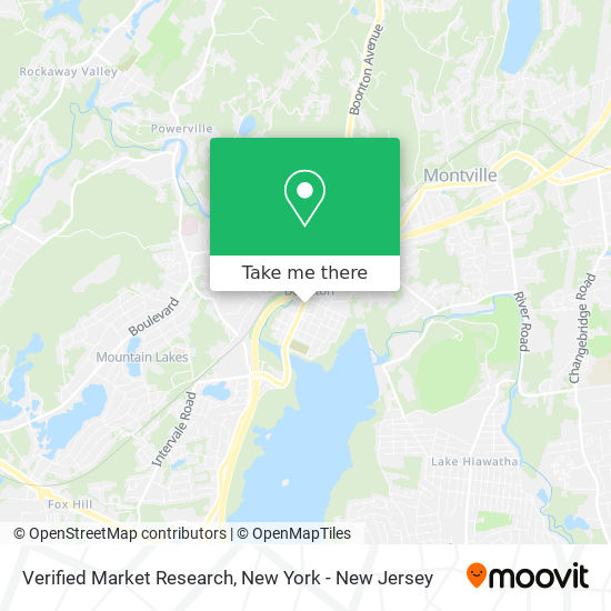 Mapa de Verified Market Research
