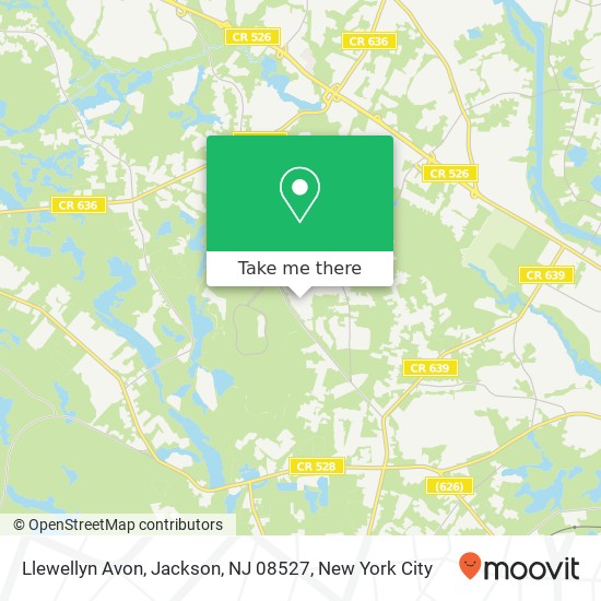 Mapa de Llewellyn Avon, Jackson, NJ 08527