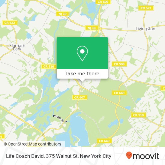 Mapa de Life Coach David, 375 Walnut St