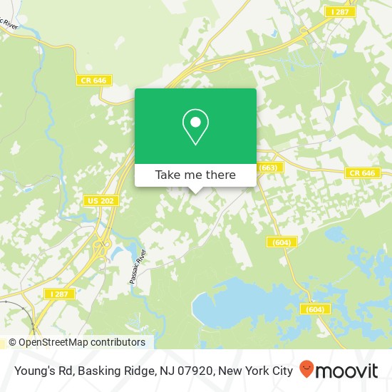 Mapa de Young's Rd, Basking Ridge, NJ 07920