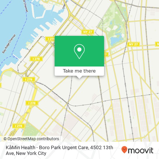 KāMin Health - Boro Park Urgent Care, 4502 13th Ave map