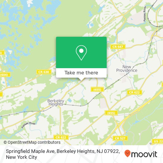 Mapa de Springfield Maple Ave, Berkeley Heights, NJ 07922