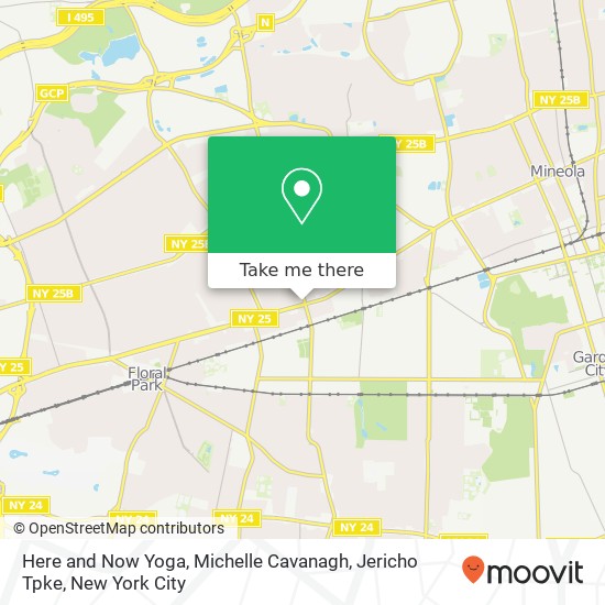 Here and Now Yoga, Michelle Cavanagh, Jericho Tpke map