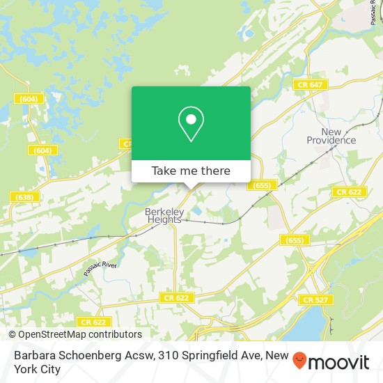 Mapa de Barbara Schoenberg Acsw, 310 Springfield Ave