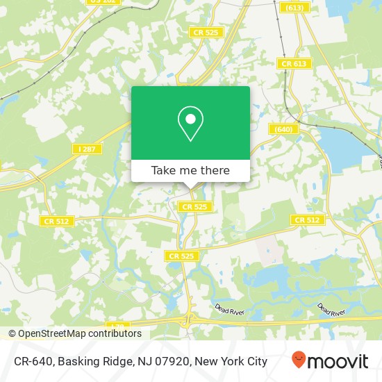 CR-640, Basking Ridge, NJ 07920 map