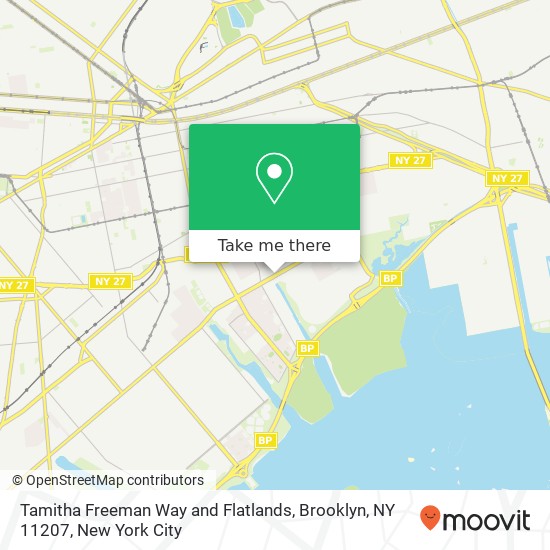 Tamitha Freeman Way and Flatlands, Brooklyn, NY 11207 map