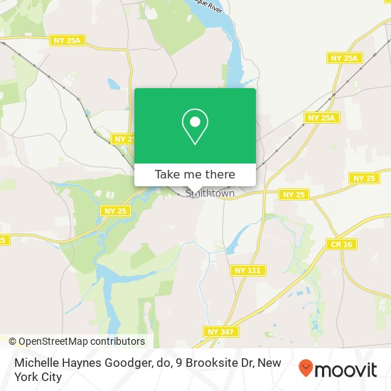 Michelle Haynes Goodger, do, 9 Brooksite Dr map