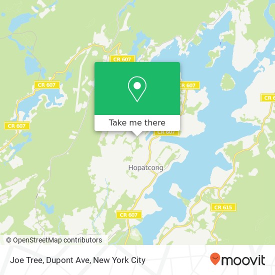 Mapa de Joe Tree, Dupont Ave