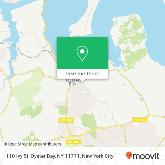 110 Ivy St, Oyster Bay, NY 11771 map