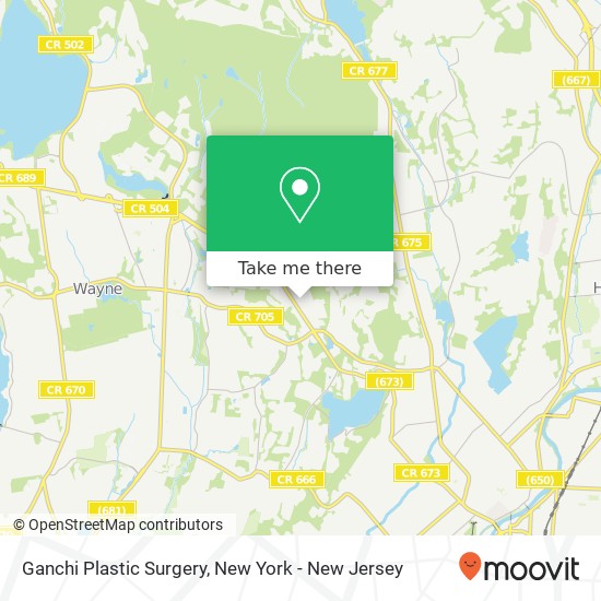 Mapa de Ganchi Plastic Surgery