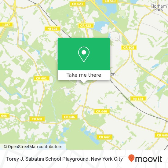 Mapa de Torey J. Sabatini School Playground