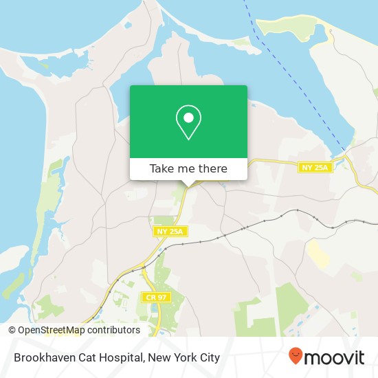 Brookhaven Cat Hospital map