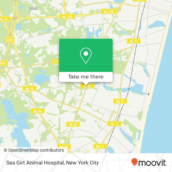 Sea Girt Animal Hospital map