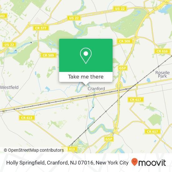 Mapa de Holly Springfield, Cranford, NJ 07016