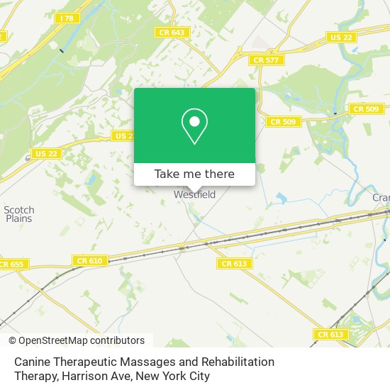 Canine Therapeutic Massages and Rehabilitation Therapy, Harrison Ave map