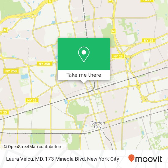 Laura Velcu, MD, 173 Mineola Blvd map