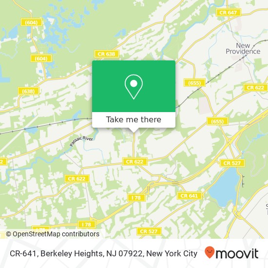 CR-641, Berkeley Heights, NJ 07922 map