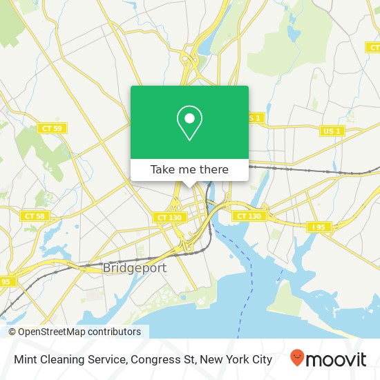 Mint Cleaning Service, Congress St map