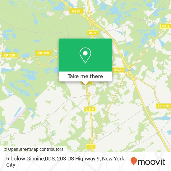 Mapa de Ribolow Ginnine,DDS, 203 US Highway 9