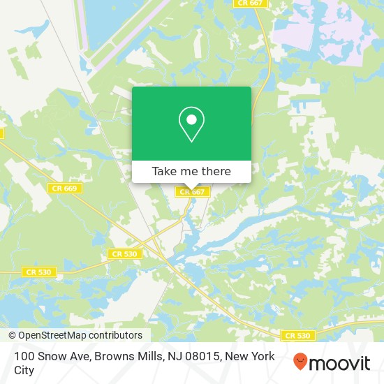 Mapa de 100 Snow Ave, Browns Mills, NJ 08015