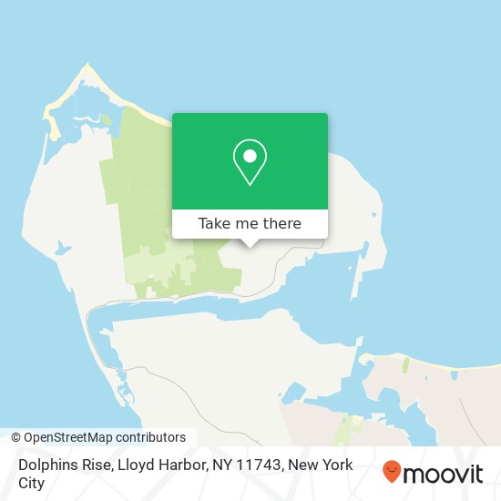 Dolphins Rise, Lloyd Harbor, NY 11743 map