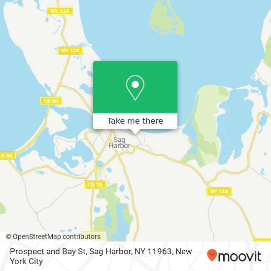 Prospect and Bay St, Sag Harbor, NY 11963 map