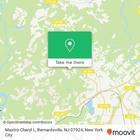 Mastro Cheryl L, Bernardsville, NJ 07924 map