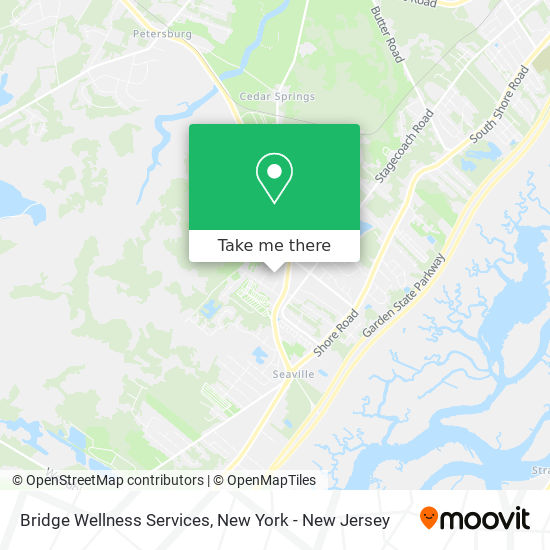 Bridge Wellness Services map