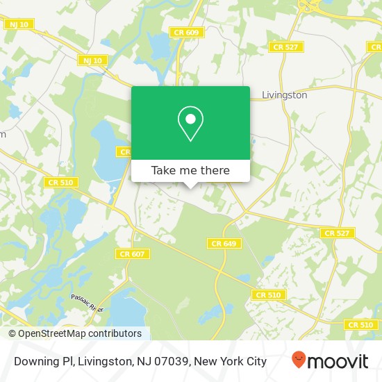 Mapa de Downing Pl, Livingston, NJ 07039