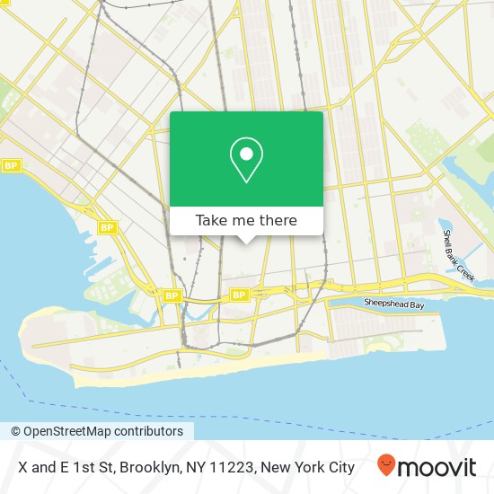 X and E 1st St, Brooklyn, NY 11223 map