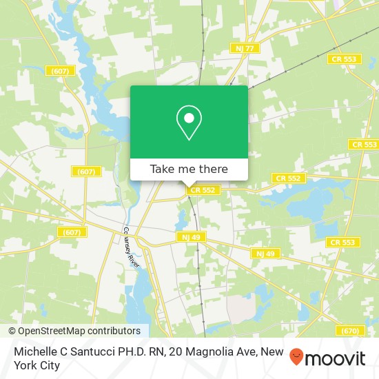 Michelle C Santucci PH.D. RN, 20 Magnolia Ave map