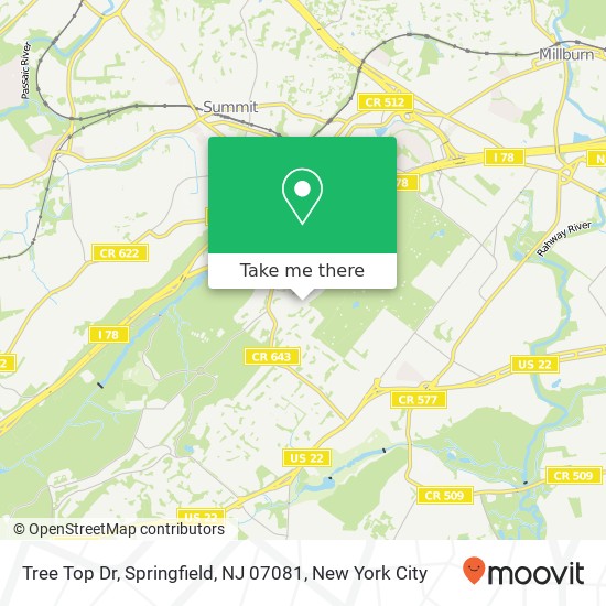 Mapa de Tree Top Dr, Springfield, NJ 07081