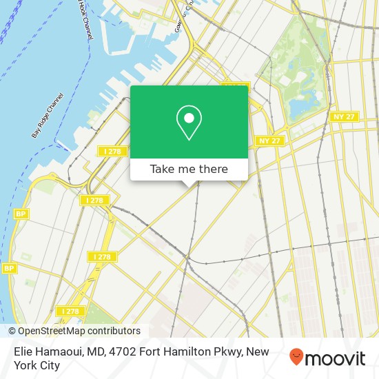 Elie Hamaoui, MD, 4702 Fort Hamilton Pkwy map