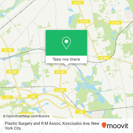 Mapa de Plastic Surgery and R M Assoc, Kosciusko Ave