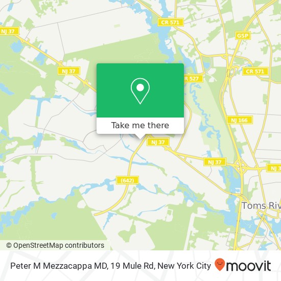 Peter M Mezzacappa MD, 19 Mule Rd map