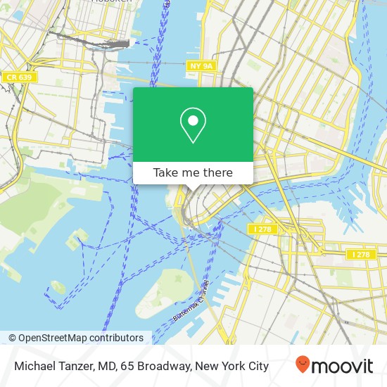 Mapa de Michael Tanzer, MD, 65 Broadway