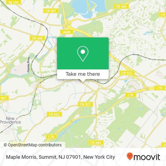 Mapa de Maple Morris, Summit, NJ 07901
