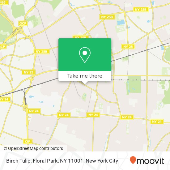 Mapa de Birch Tulip, Floral Park, NY 11001