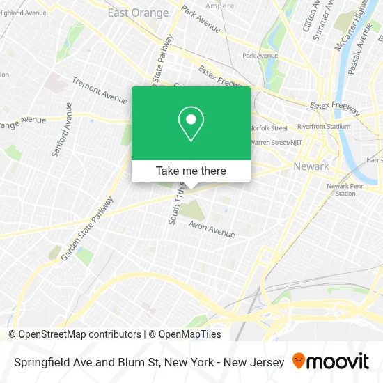 Springfield Ave and Blum St map