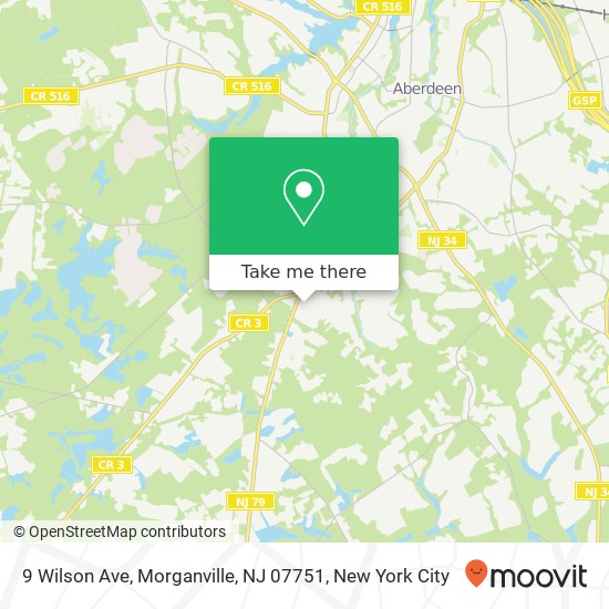 9 Wilson Ave, Morganville, NJ 07751 map